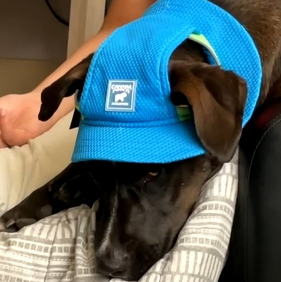 Meet Your Posher! - Picture 7 of 8